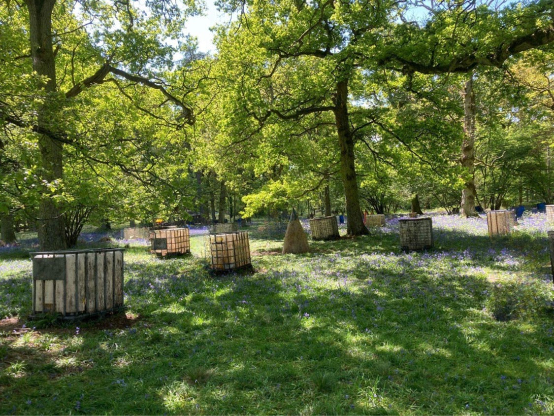 TM AIRSOFT REDDITCH SITE PHOTO